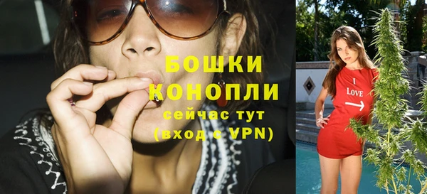 мдпв Верея
