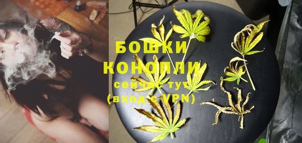 прущие грибы Верхнеуральск