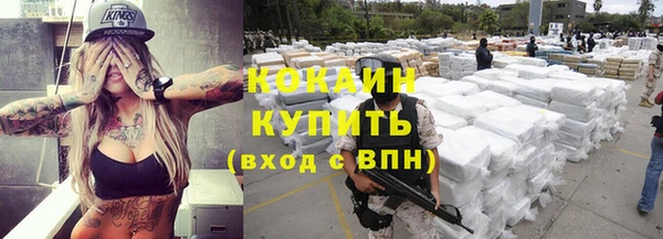 мдпв Верея