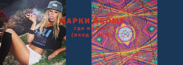 мдпв Верея