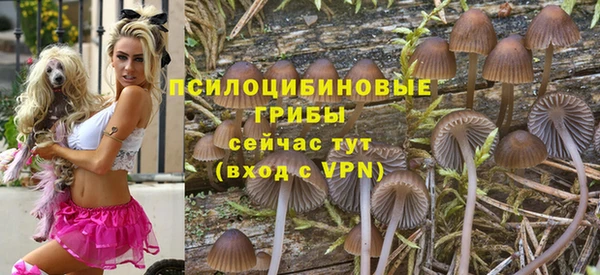эйфоретик Верхний Тагил