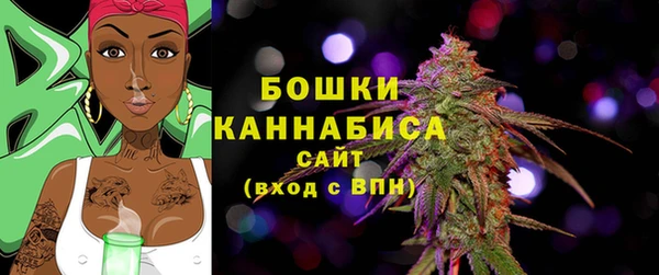 мдпв Верея