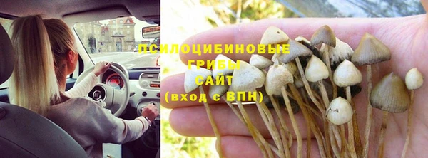 мяу мяу мука Семилуки