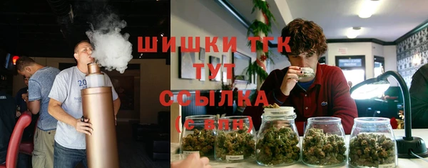 мдпв Верея
