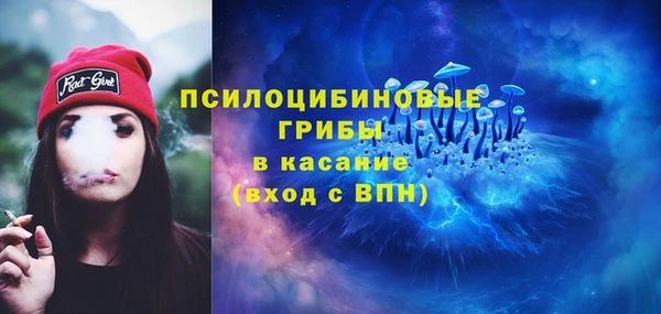 мдпв Верея