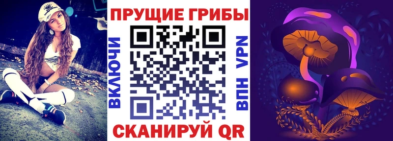 цены Льгов Галлюциногенные грибы MAGIC MUSHROOMS